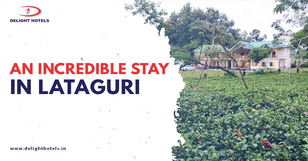 HOTELS IN LATAGURI FOREST