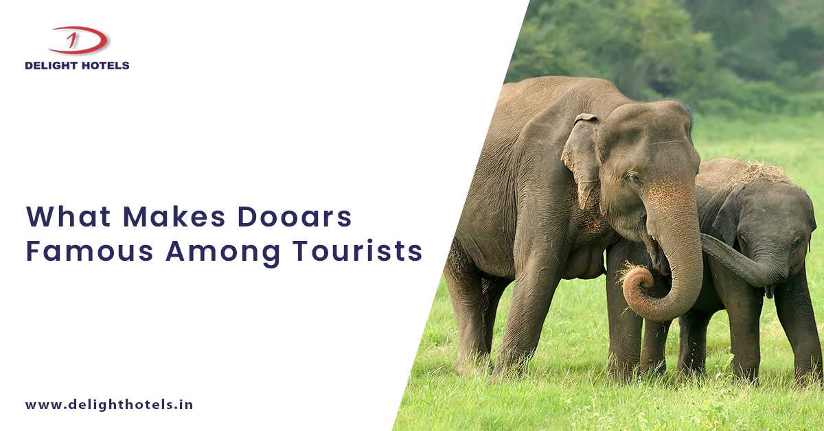 What Makes Dooars Famous Among Tourists