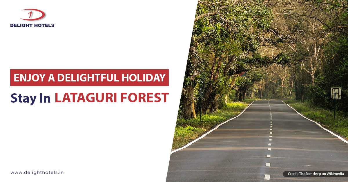 Holiday Stay In Lataguri Forest