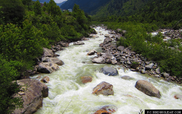 Yumthang hot spring