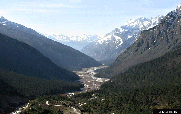 Chopta Valley- The shining Gem of Lachen