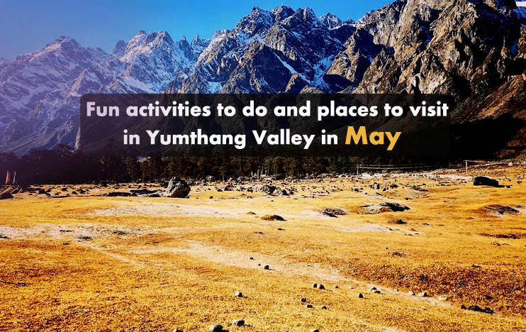 Fun activities to do and places to visit in Yumthang Valley in May