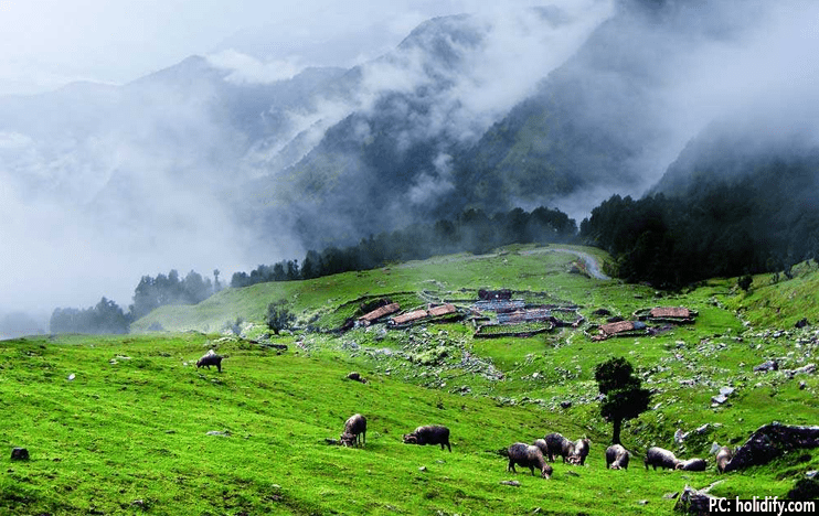 chopta valley