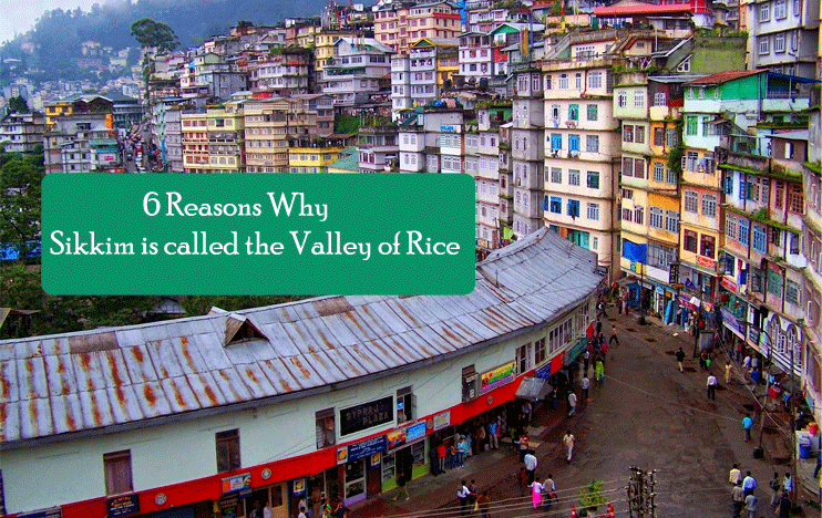 6 Reasons Why Sikkim is called the Valley of Rice
