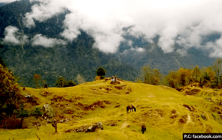 Kanchenjunga national park