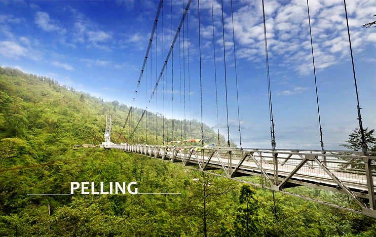 Most Enthralling Things to Do In Pelling for an Unforgettable Experience