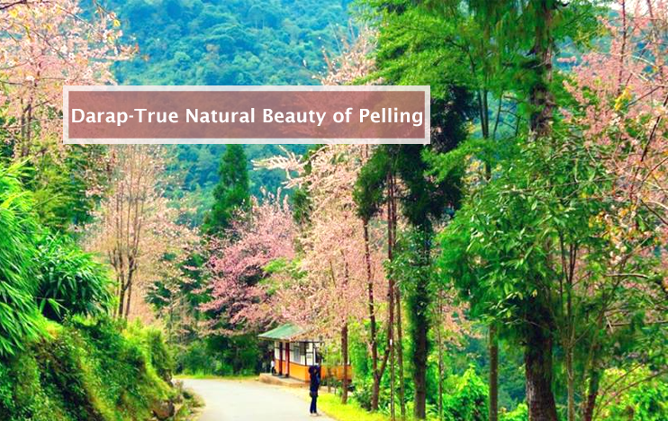 Visit Darap village Thatll Help You Witness the True Natural Beauty of Pelling
