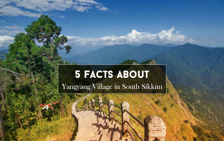 5 Facts about Yangyang Village in South Sikkim