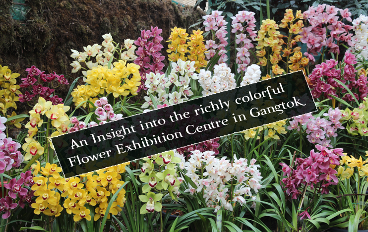 An Insight into the richly colorful Flower Exhibition Centre in Gangtok