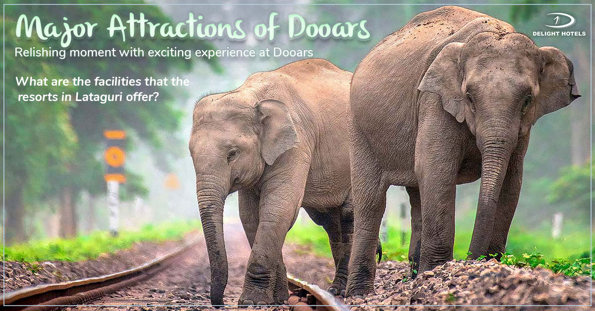 Relishing Moment With Exciting Experience At Dooars