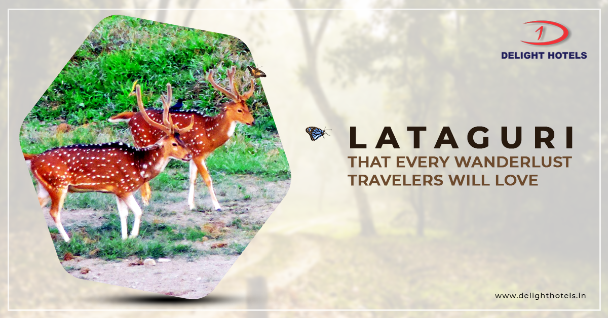 Lataguri- That Every Wanderlust Traveler Will Love