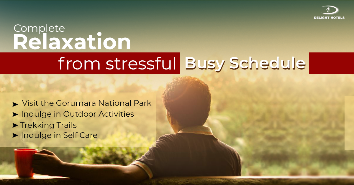 Complete Relaxation From Your Stressful Busy Schedule